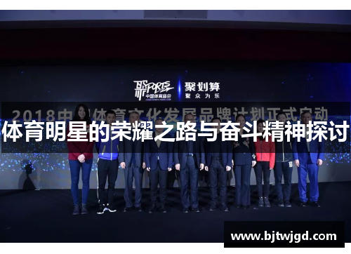 体育明星的荣耀之路与奋斗精神探讨