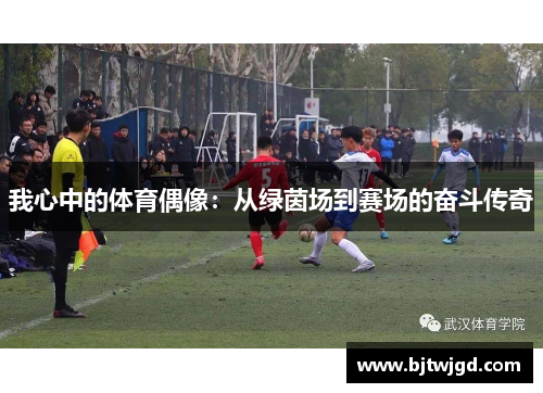我心中的体育偶像：从绿茵场到赛场的奋斗传奇