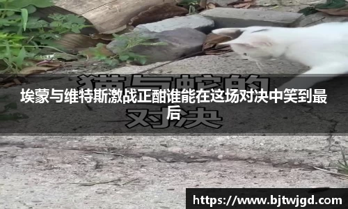韦德体育